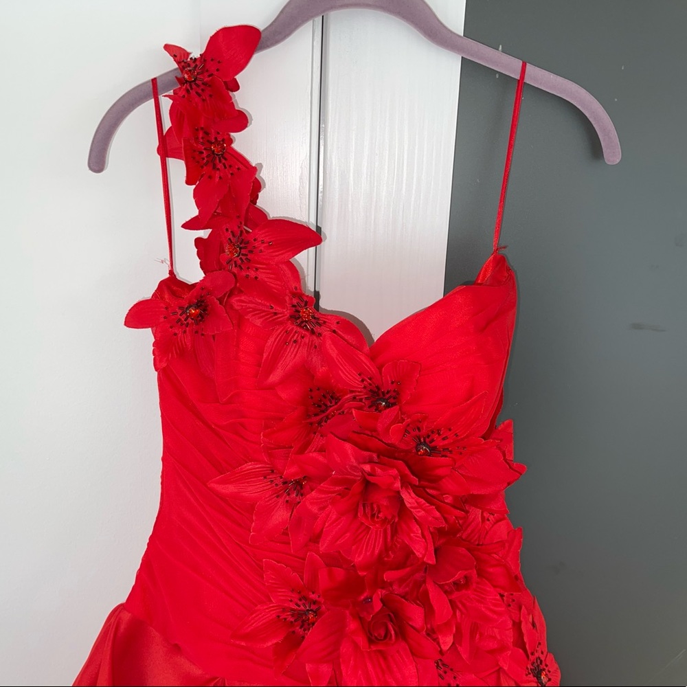 Red Corset Ballgown - Picture 7 of 17